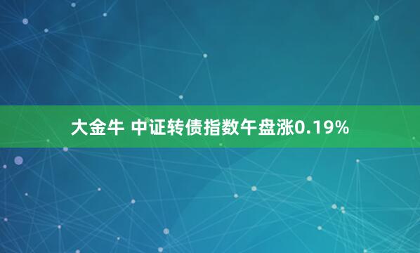 大金牛 中证转债指数午盘涨0.19%